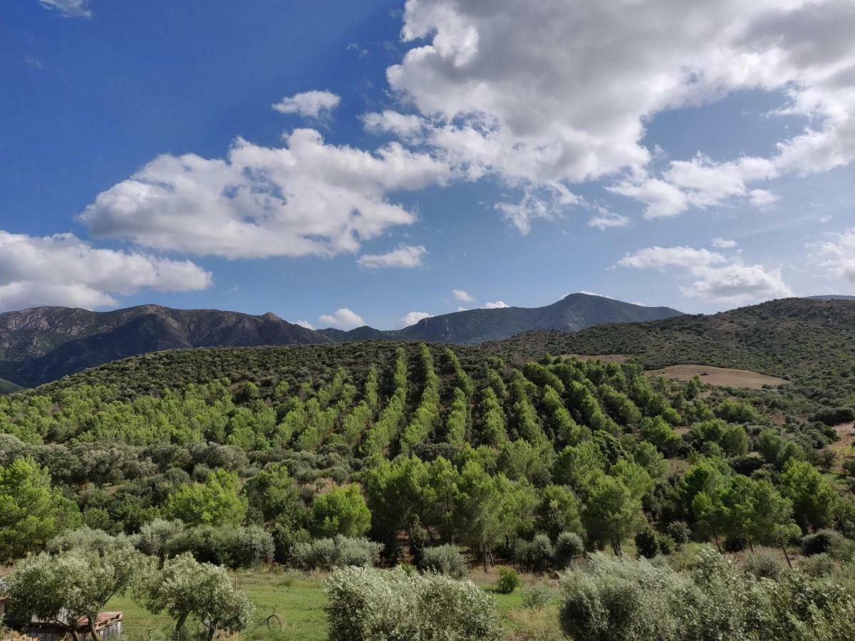 VillamassargiaCasa Pinella别墅 外观 照片